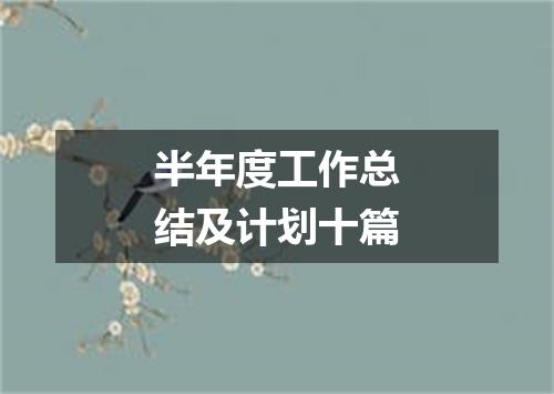 半年度工作总结及计划十篇