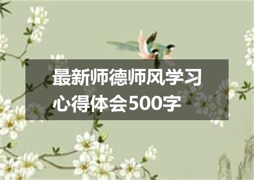最新师德师风学习心得体会500字