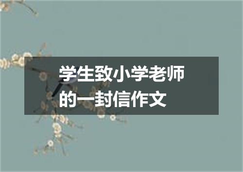 学生致小学老师的一封信作文