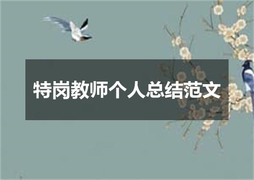 特岗教师个人总结范文