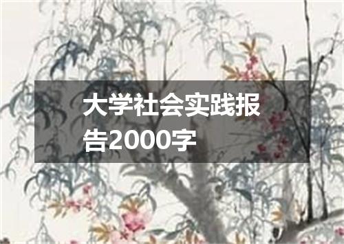 大学社会实践报告2000字