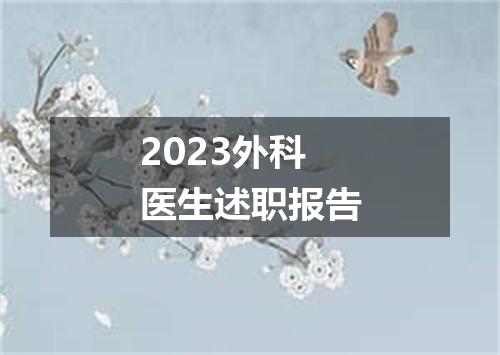 2023外科医生述职报告