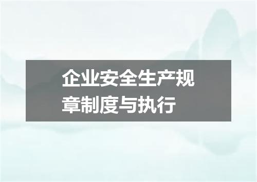 企业安全生产规章制度与执行