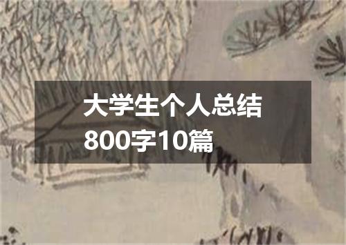 大学生个人总结800字10篇