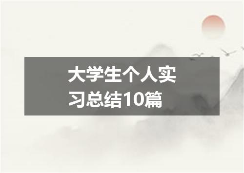 大学生个人实习总结10篇