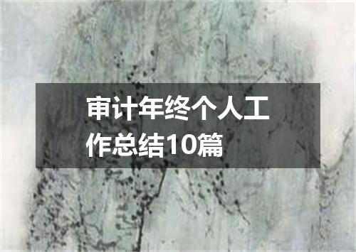 审计年终个人工作总结10篇