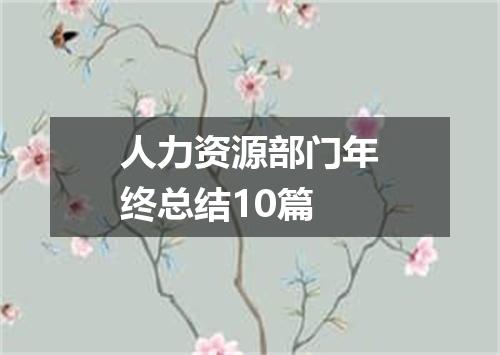 人力资源部门年终总结10篇