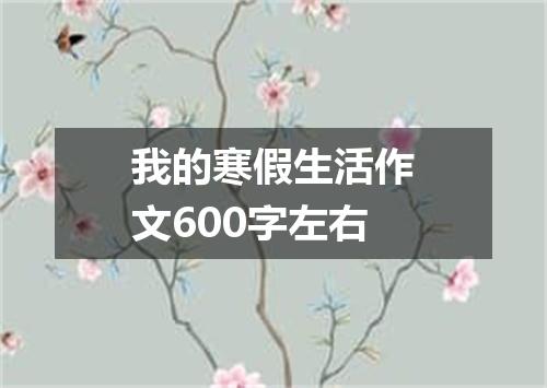 我的寒假生活作文600字左右