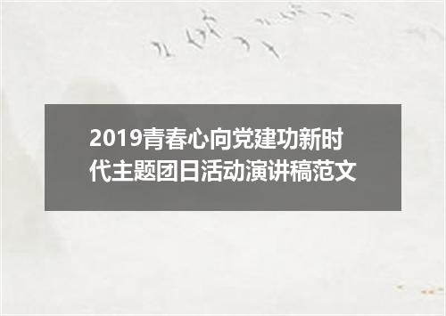 2019青春心向党建功新时代主题团日活动演讲稿范文