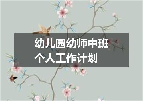 幼儿园幼师中班个人工作计划