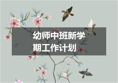 幼师中班新学期工作计划