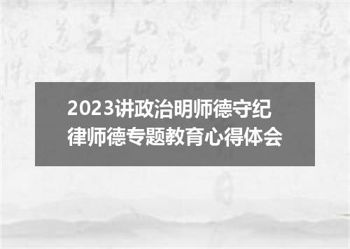2023讲政治明师德守纪律师德专题教育心得体会