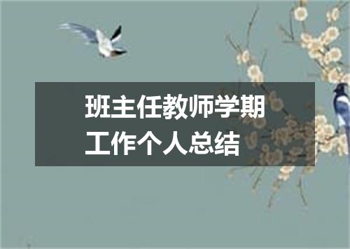 班主任教师学期工作个人总结