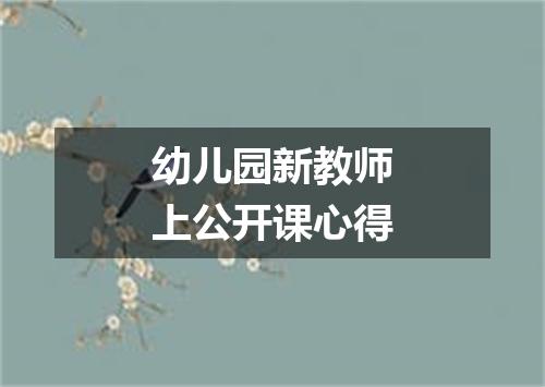 幼儿园新教师上公开课心得