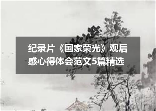 纪录片《国家荣光》观后感心得体会范文5篇精选