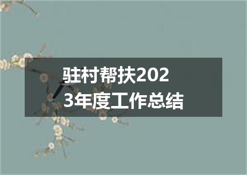 驻村帮扶2023年度工作总结