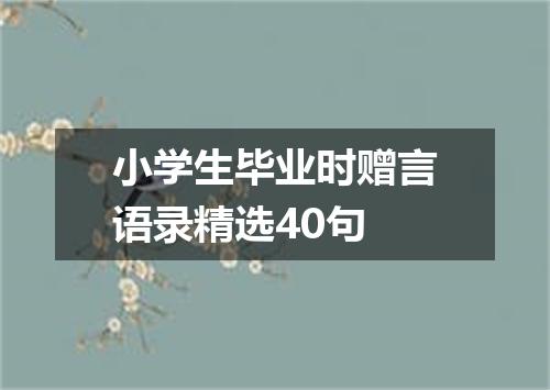 小学生毕业时赠言语录精选40句