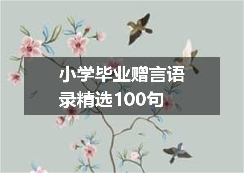 小学毕业赠言语录精选100句