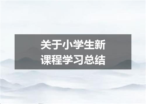 关于小学生新课程学习总结