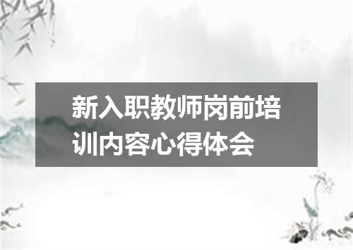 新入职教师岗前培训内容心得体会