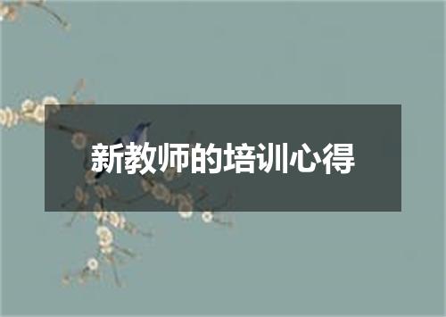 新教师的培训心得
