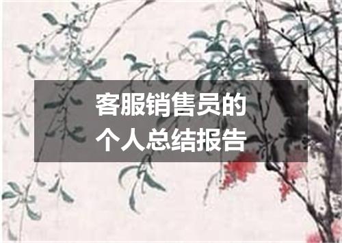 客服销售员的个人总结报告