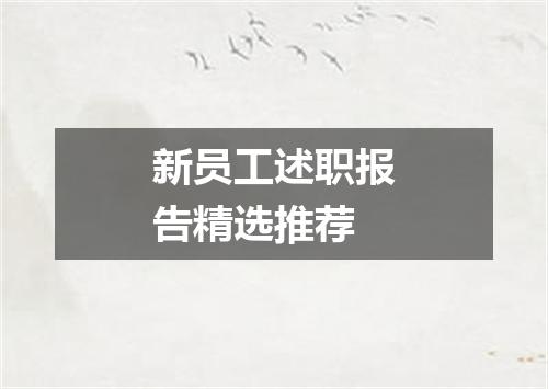 新员工述职报告精选推荐