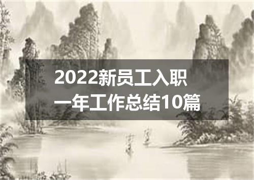 2022新员工入职一年工作总结10篇