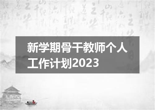 新学期骨干教师个人工作计划2023