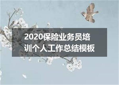 2020保险业务员培训个人工作总结模板