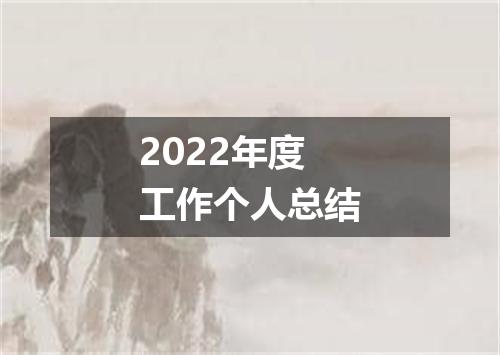 2022年度工作个人总结