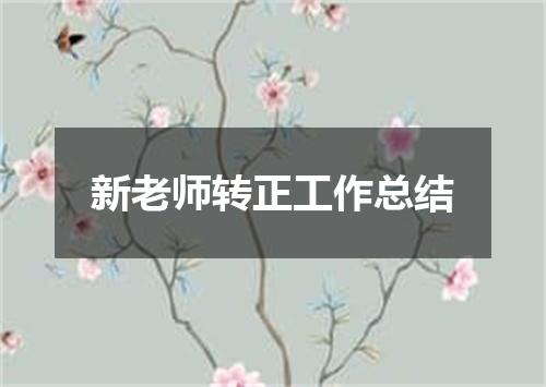 新老师转正工作总结