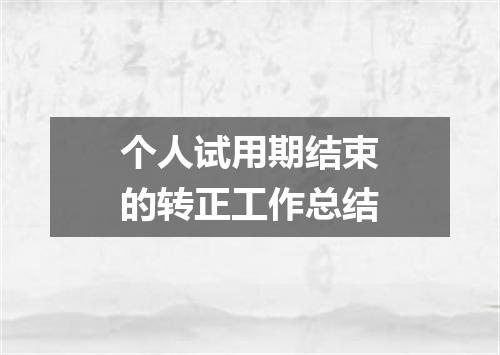 个人试用期结束的转正工作总结
