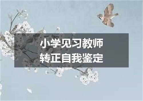 小学见习教师转正自我鉴定