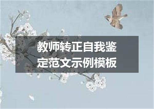 教师转正自我鉴定范文示例模板