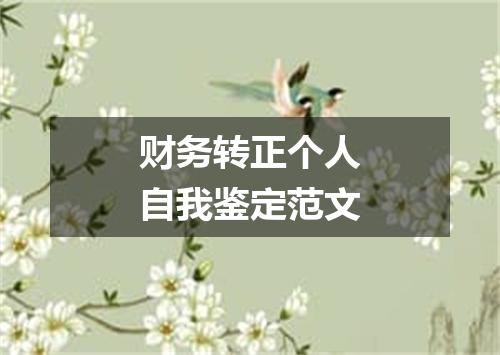 财务转正个人自我鉴定范文
