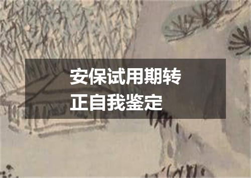 安保试用期转正自我鉴定