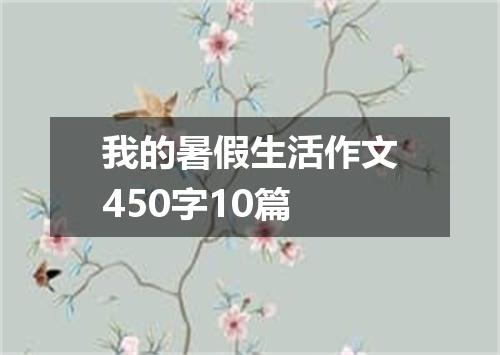 我的暑假生活作文450字10篇