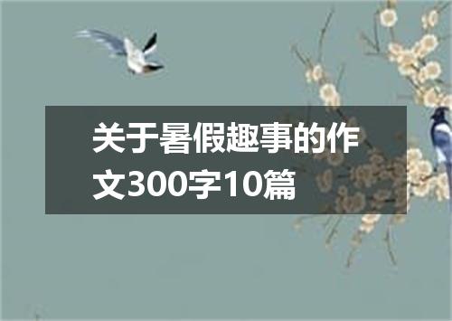 关于暑假趣事的作文300字10篇