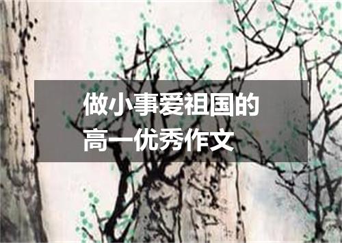 做小事爱祖国的高一优秀作文