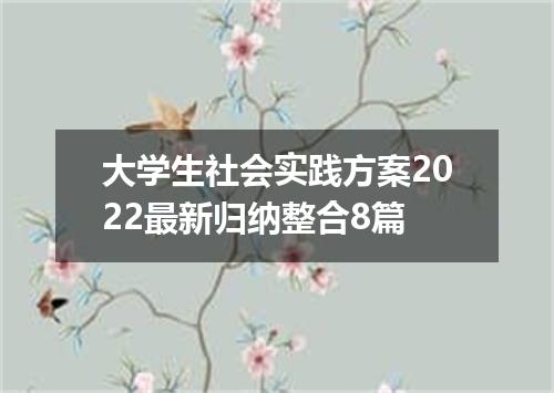 大学生社会实践方案2022最新归纳整合8篇
