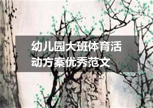 幼儿园大班体育活动方案优秀范文