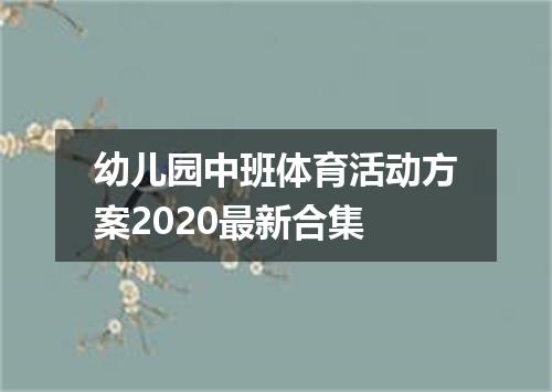 幼儿园中班体育活动方案2020最新合集