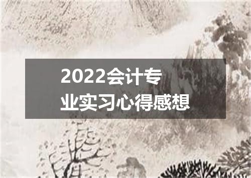 2022会计专业实习心得感想