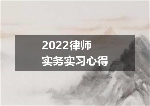 2022律师实务实习心得