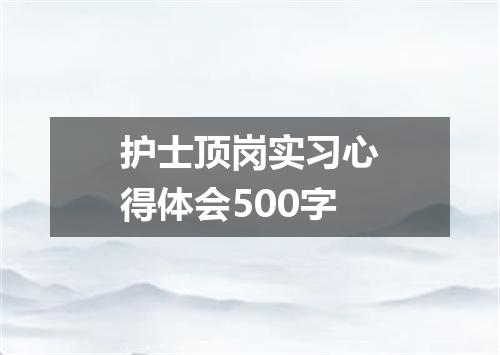 护士顶岗实习心得体会500字