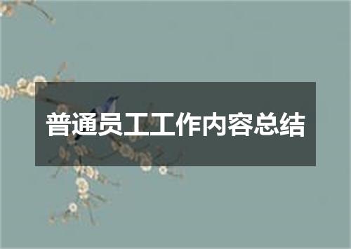 普通员工工作内容总结