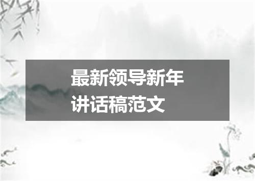 最新领导新年讲话稿范文