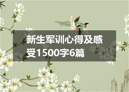 新生军训心得及感受1500字6篇