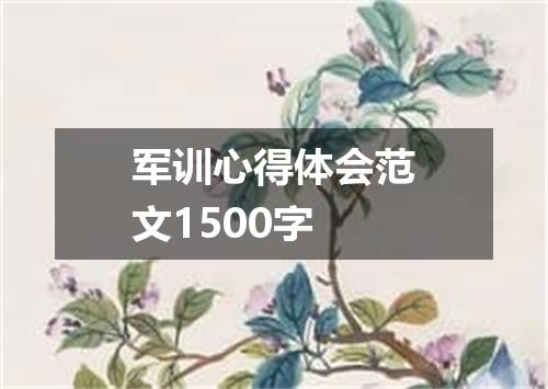 军训心得体会范文1500字